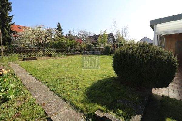 pflegeleichtes eigenes Grün