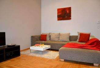 Large living room with parquet floor