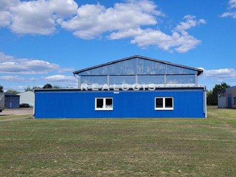 Stendal Halle, Stendal Hallenfläche