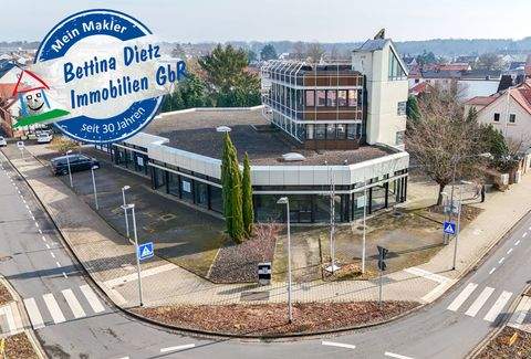 Dieburg Halle, Dieburg Hallenfläche