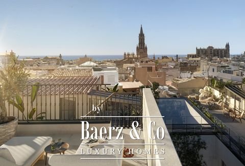 palma de mallorca Wohnungen, palma de mallorca Wohnung kaufen