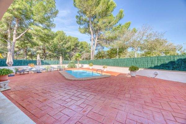 ONE_STOP_EL_TORO_-19