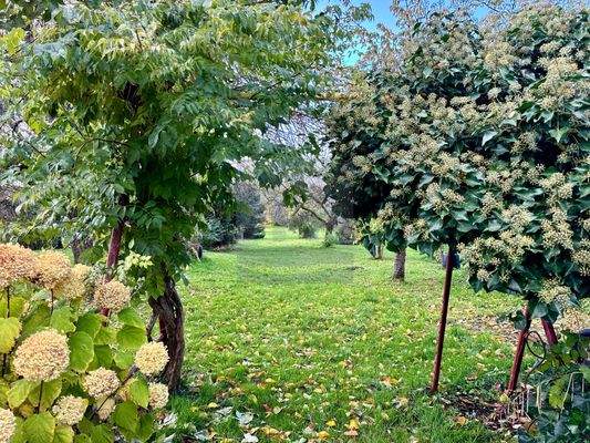 Landwirtschaftliche Fläche