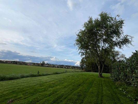 WhatsApp Bild 2025-09-13 um 18.20.30_de76a031.jpg