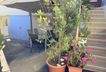 Terrasse 1