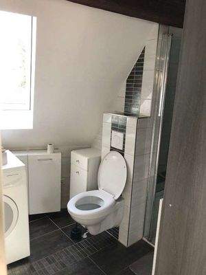 10 Whg 3 WC im Bad.jpg