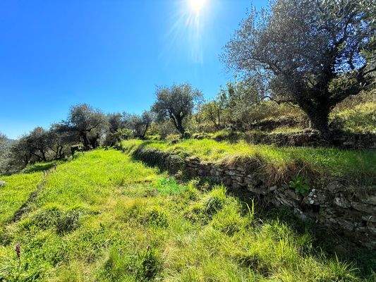 DA1003_09_TERRA ITALIA IMMOBILIEN_REAL ESTATE_LAND