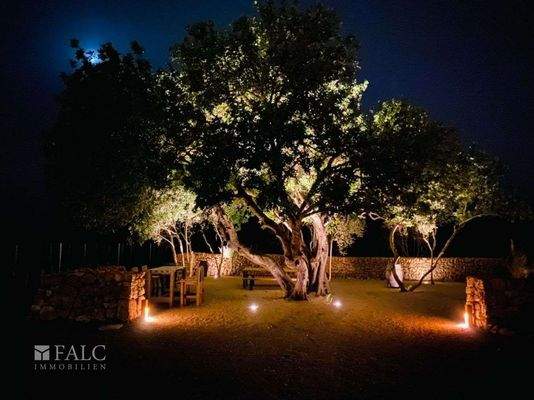 bb8c4cd2-6ba9-42e8-972c-9b13406a7dde