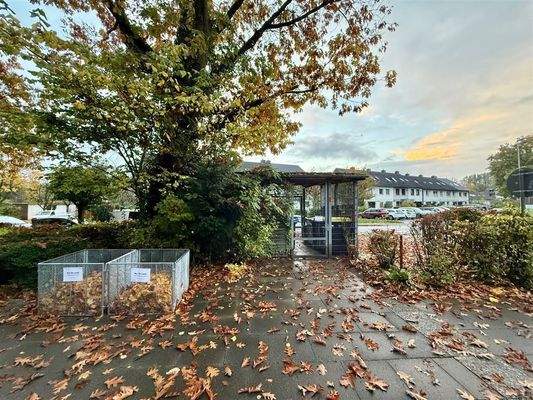 Müllplatz vorne am Haus