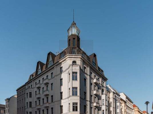 GLINT (8 von 13).jpg