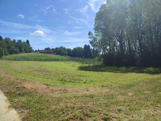 Das Grundstück von Nordwesten