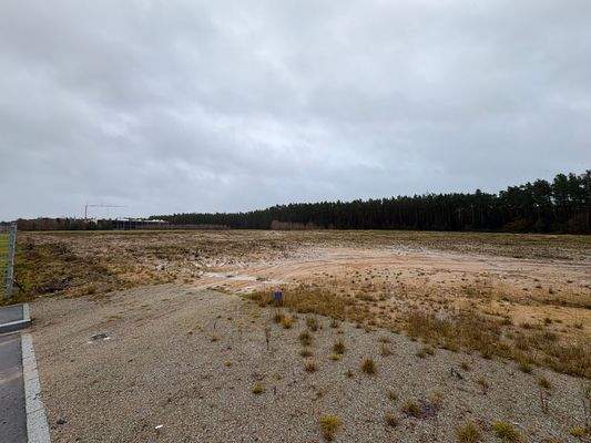 Grundstücksansicht (mit Optionsgrundstück)