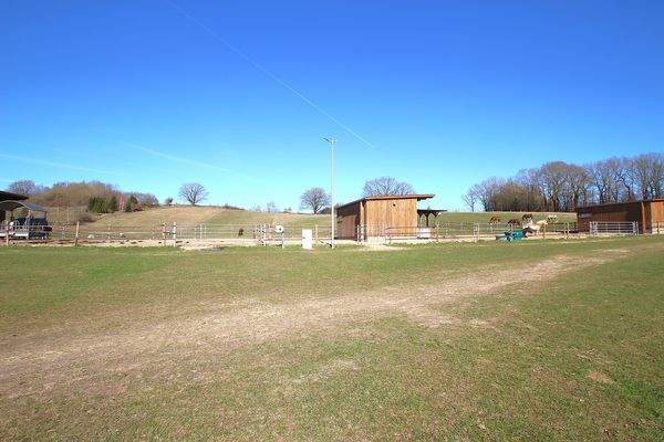 Blick auf die Koppeln