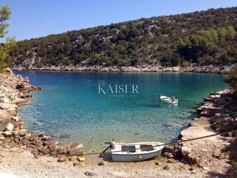 Jelsa Bauernhöfe, Landwirtschaft, Jelsa Forstwirtschaft