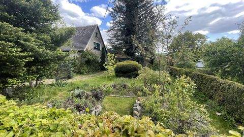 Elstra Häuser, Elstra Haus kaufen