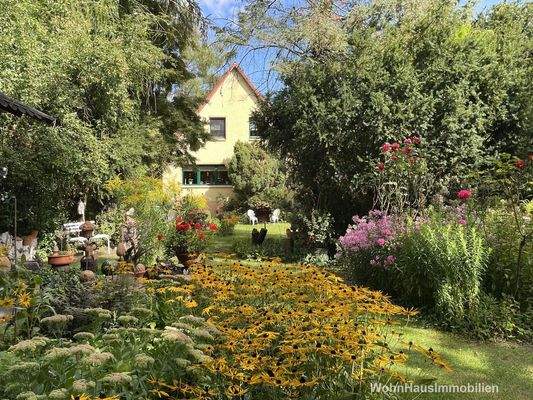 Sommerpracht in Babelsberg