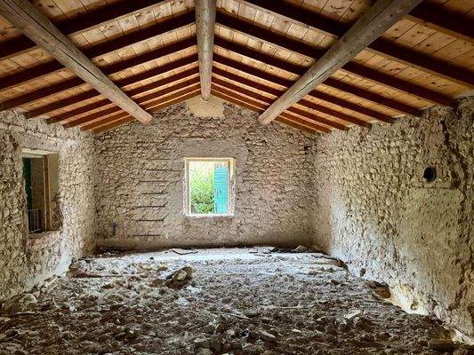 WhatsApp Image 2025-08-28 at 10.48.20.jpeg