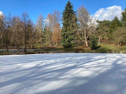 Teiche im Winter 2.jpg