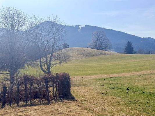 Hörnleblick von oberhalb des Grundstücks