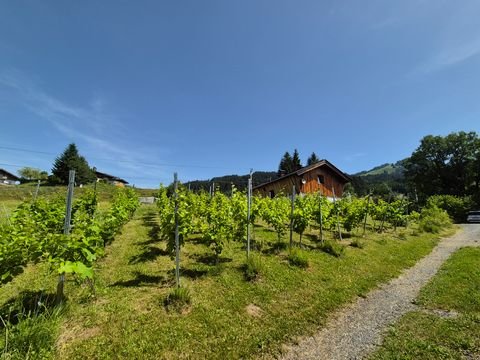 Fieberbrunn Häuser, Fieberbrunn Haus kaufen