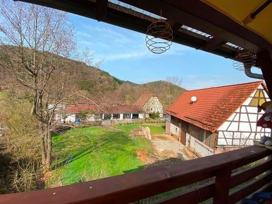 EFH Wald-Michelbach Ausblick vom Balkon auf viel G