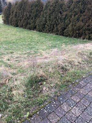 Grundstück - Ansicht 2