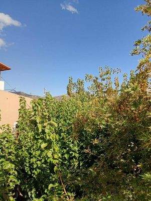 Kreta, Kritsa: Wohnung mit Balkon zu verkaufen (Renovierung im Gange)