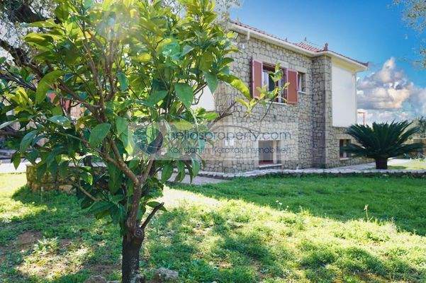 0ff2dcf7fb4b4daaafa7af915b552503-original