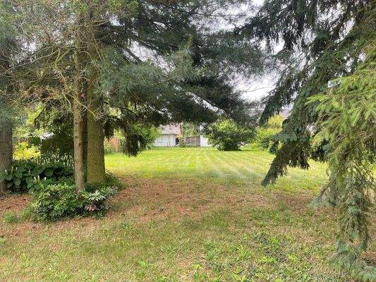 Blick aufs Grundstück_1.jpg