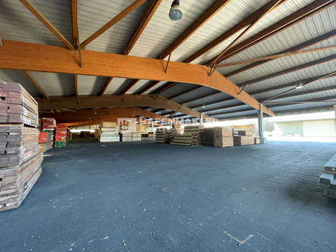 Hamburg Halle, Hamburg Hallenfläche