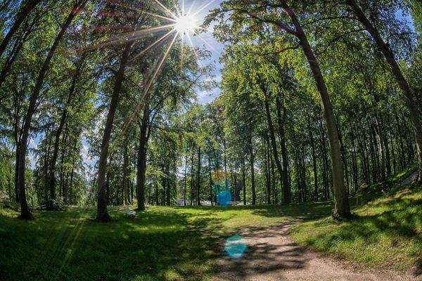 Impressionen vom Ostseebad Sellin.jpg