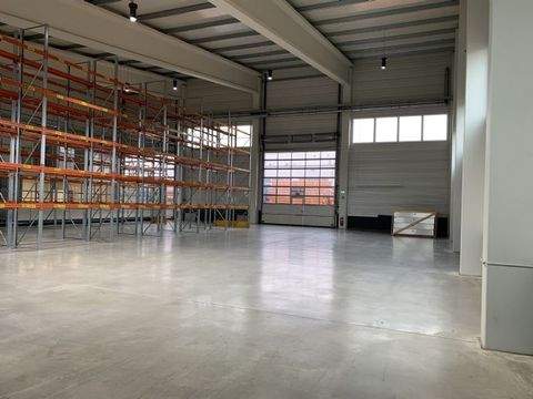 Steinach Halle, Steinach Hallenfläche