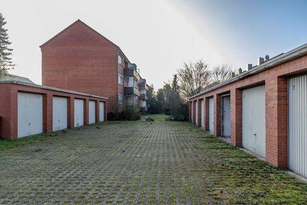 IMG_6814-Enhanced-NR