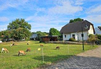 Blick vor dem Haus 