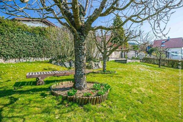 Kirschen und Pflaumen