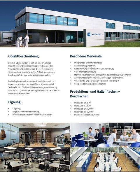 Radebeul Halle, Radebeul Hallenfläche