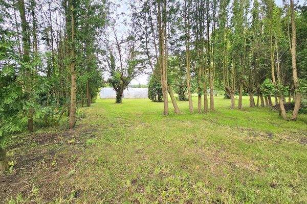 parkähnlicher Garten