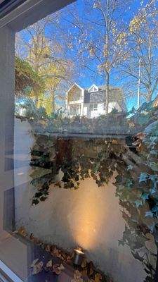 Blick aus dem Souterrain