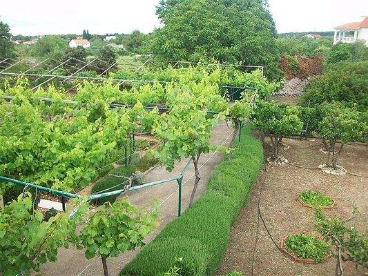 Ein charmanter Garten rundet dieses Paket ab