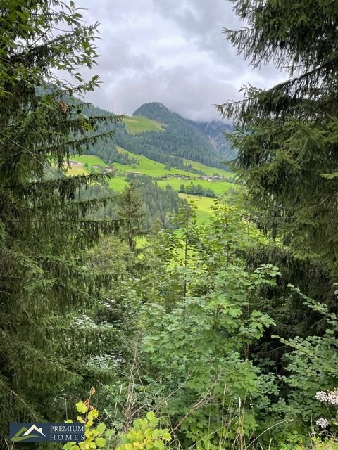 Reith im Alpbachtal Bauernhöfe, Landwirtschaft, Reith im Alpbachtal Forstwirtschaft