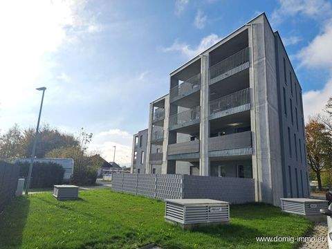 Lustenau Häuser, Lustenau Haus kaufen