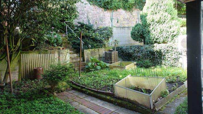 Blick in den Garten