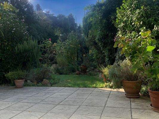 Blick von der Terrasse in den Garten