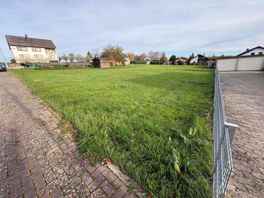 WhatsApp Image 2026-01-18 at 16.29.07