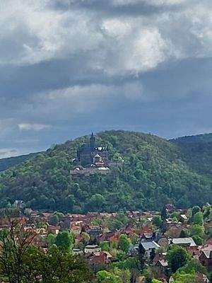 Ausblick aufs Schloss