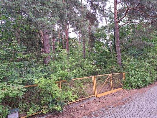 großes eingezäuntes Grundstück