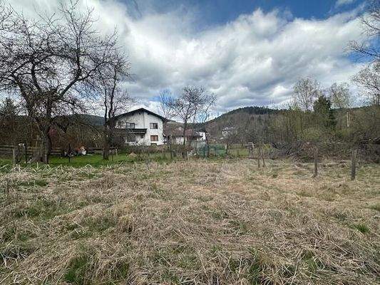 Grund Blick zum linken Nachbarn