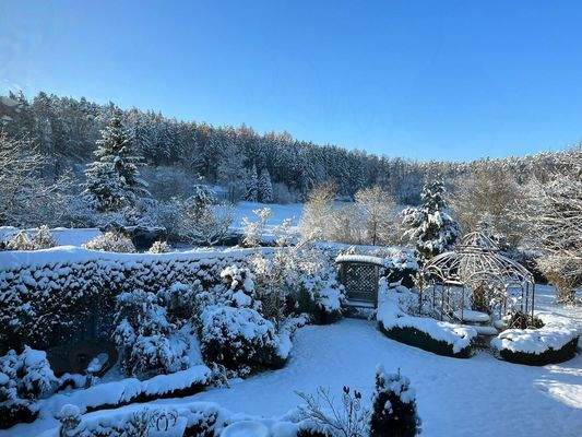 Winterstimmung Garten