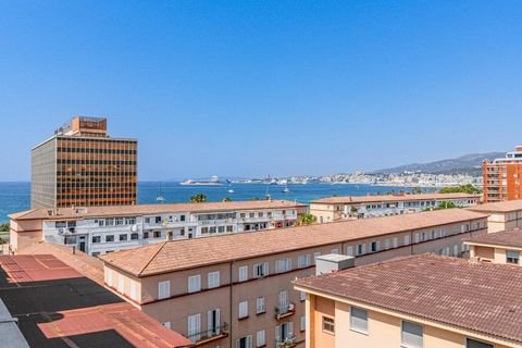 PALMA DE MALLORCA Wohnungen, PALMA DE MALLORCA Wohnung kaufen