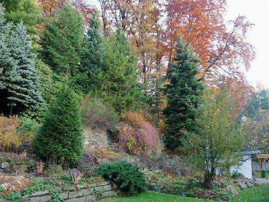 Blick auf den Hang (2)